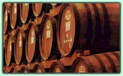 botti marsala_01